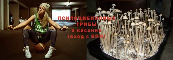 герыч Касимов