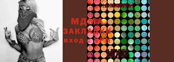 сатива Карпинск