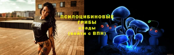 сатива Карпинск