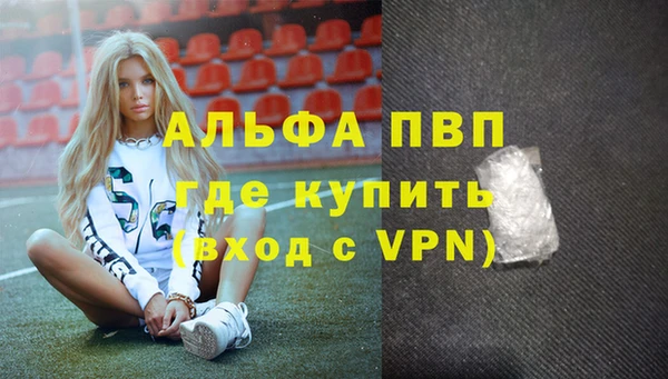 сатива Карпинск