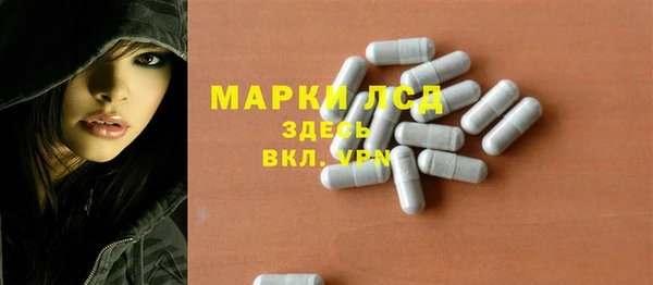 сатива Карпинск