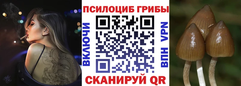 Купить  Всеволожск  Псилоцибиновые грибы ЛСД 